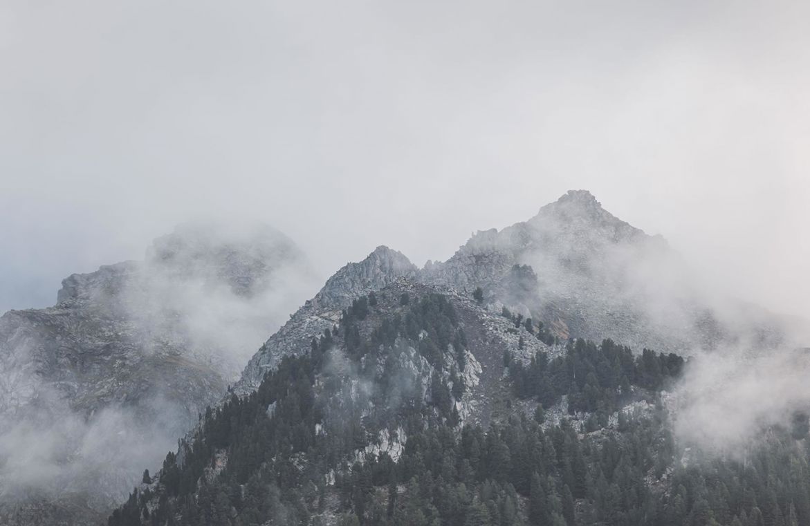 015-amus-detail-kottersteger-220902-k1030017